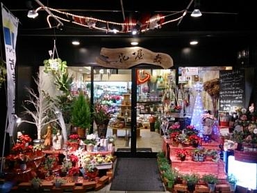 クリスマスに向けて店舗を模様替え！！｜「花屋敷」　（高知県高知市の花キューピット加盟店 花屋）のブログ