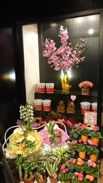 「花屋敷」　（高知県高知市）の花屋店舗写真3